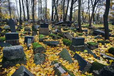 Toppled headstones lie, half buried in autumn leaves in an abandoned Jewish cemetery.
