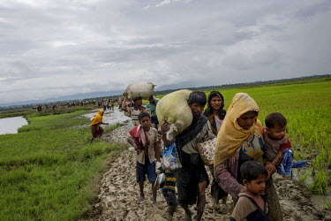 Rohingya refugees, carrying a few possessions in sacks, walk through a muddy rice paddy field after fleeing across the nearby Myanmar border.   The United Nations reported that by 11 September 2017 so...