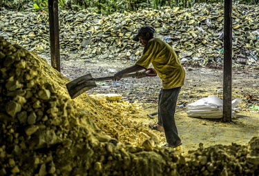 A worker at a sulphur processing plant in Tamansaray, sorts through a pile of sulphur mined at the nearby Ijen crater.