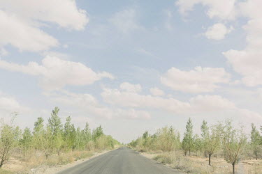 A road running through the Kubuqi desert.
