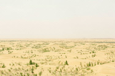 A view of a landscape in the Kubuqi Desert. The Kubuqi Desert is the seventh largest desert in China and lies to the north of Ordos Plateau in Inner Mongolia, covering 18,600 square kilometres. The de...