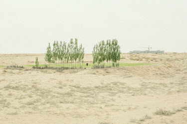 A farmer work in his field on the edge of the Kubuqi desert. The government plants trees and shrubs here in an effort to block the wind and stabilise the soil.