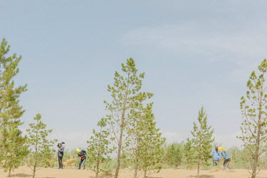Workers clear desert sand from a road in Kubuqi Desert Park. The Kubuqi Desert is the seventh largest desert in China and lies to the north of Ordos Plateau in Inner Mongolia, covering 18,600 square k...