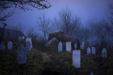 A horse clambers through the village cemetery.