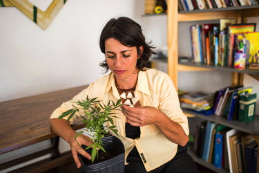 Margarete Santos de Brito with the cannabis plants she makes oil from with which to treat her daughter with. The oil does not contain THC, the he principal psychoactive constituent of cannabis. Margar...