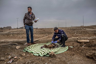 Qais Abdullah lays the recently exhumed body of three year old Qasar, who died attempting to flee ISIS-held territory in Mosul with his family, onto a blanket for a forensic examination.