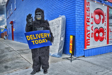 A shop worker, dressed in a gorilla suit to advertise the shop where he has been working, winter and summer, for nine hours a day for the past 12 years