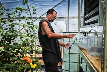A man working in a polytunnel at RecoveryPark, a project founded by Gary Wozniak to create permanent jobs for Detroiters, many of whom are ex-prisoners, using reclaimed land to cultivate organic veget...