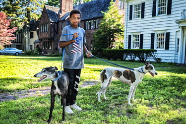 A boy takes his greyhounds for a walk.