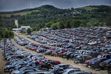 Rows and rows of cars in a breaker's yard.