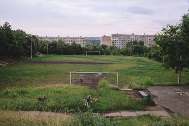 Dogs playing beside a football pitch in the Ciocana district.