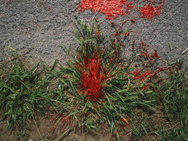 Red paint spilled on green grass, resembling the Transnistrian flag.