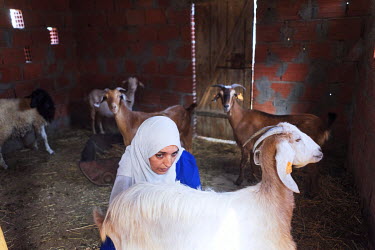 Moufida Sassi (48) milks one of her goats. She keeps 12 animals and sells the cheese she makes from their milk. The money she has raised from this business has paid for her son's education. She says o...