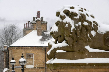 A stone carving of a lion, that appears to be licking snow from its paw, during the heaviest fall of snow that large areas of the UK had experienced for many years.