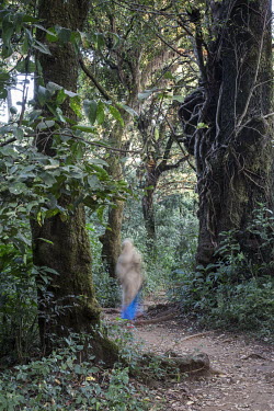 Worshippers dressed in their Sunday robes walk through Zhara church forest.   Forest land surrounding churches have become islands of biodiversity in seas of agriculture, the last remnants of a once-e...
