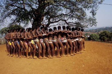Young Venda women ('maidens') doing the 'Domba (coming of age) dance.