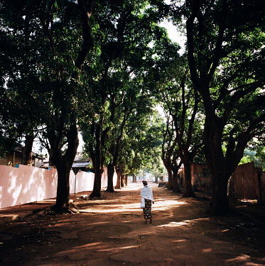 A woman walking along a tree-lined road.