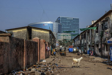 A goat wanders along a street strewn with rubbish and lined with dirty low rise buildings while in the background the steel and glass IL&FS Financial Centre and Deutsche Bank buildings in Bandra East...
