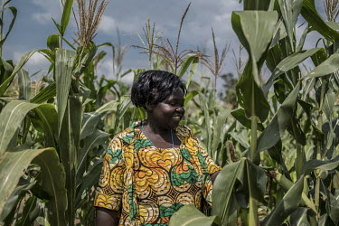 Lona Kiji (45) in her maize plot in Bidibidi refugee camp. She fled here in September 2016 when violence swept through Central Equatoria State in South Sudan. 'When you step on death, you run', she sa...