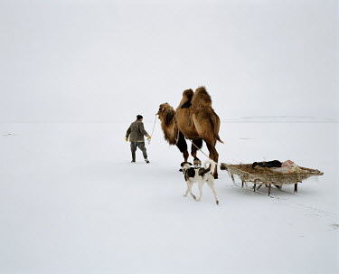 A camel, led by a local fisherman, pulls a sledge toward the his fishing spot on the Aral Sea a few kilometres from the village of Tastubek through the snow.