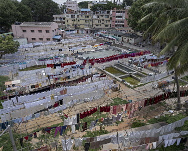 Washing drying in the Malleshwaram district. Bangalore has about twenty artisanal laundries spread throughout the city. In these 'Dhobi ghats', the water laden with detergents is not reprocessed and c...