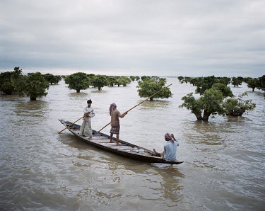 Fishermen make their way past a flooded forest of hijol (freshwater mangrove, mango-pine) trees.