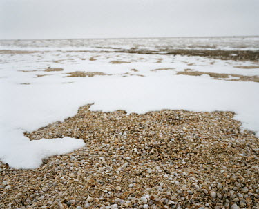 Shells testify that this bank of land was once submerged by the sea.