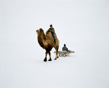 A camel takes two fishermen to their fishing spot on the frozen Aral Sea, a few kilometers from the edge of the village.