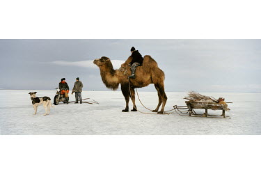 Fishermen unload their supplies at a fishing spot on the frozen Aral Sea that they reached on the back of their Bactrian camel.