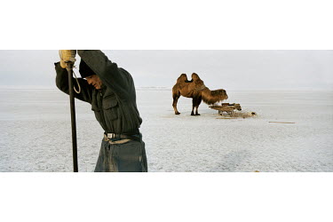 A man uses a rod to make a hole in the ice through which he will be able to fish the waters of the Aral Sea. In the background, his Bactrian camel, who carried the fisherman and his equipment to the s...