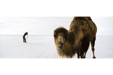 A man uses a rod to make a hole in the ice through which he will be able to fish the waters of the Aral Sea. In the foreground, his Bactrian camel, who carried the fisherman and his equipment to the s...