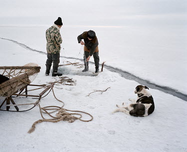 A fisherman retrieves his net, dropped through an ice hole into the waters of the Aral Sea beneath. Beside them a cravasse indictates the coming of warmer weather.