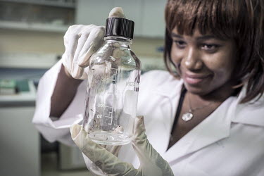A scientist holds a bottle containing adult Anopheles adult mosquitoes at the KEMRI/CDC research institute, laboratories and insectaries.