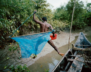 30 year old Raman Gazzi leaps ashore from his boat carrying a net, ready to start fishing for shrimp fry. At the slightest suspicious noise, he will rush back to the boat fearful of tigers.
