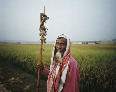For a month, the rice harvest attracts reapers, gleaners and traders from all over the region.