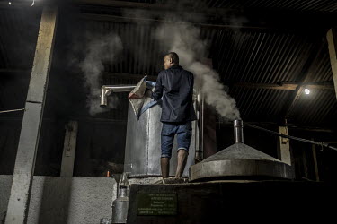 A worker at a ylang ylang oil distillery adds more flowers to the facility's still. The oil distilled from the ylang ylang flower is a key ingredient in luxury perfumes and some cosmetics as well as b...