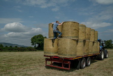 Derek Magrane and his son Derek Jnr load bales of hay onto a tractor at the Ireland - UK Border. Derek owns the last field before border on the Irish side.