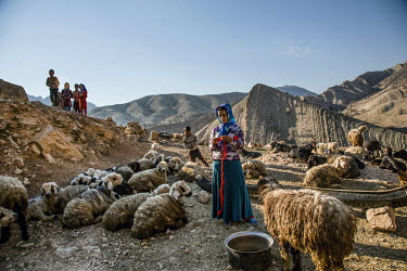 A Bakhtiari nomad woman finger knitting as she keeps watch over a herd of sheep and goats at a sheltered camp in the heart of the Zagros Mountains where they will stay for the winter.