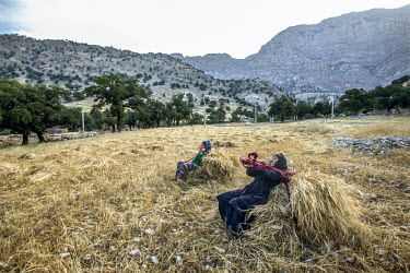 Bakhtiari women prepare to lift bales of wheat, grown in fields at Arpanah, to be transported to their winter camp. Some nomads grow wheat instead of raising livestock, so their transhumance depends o...