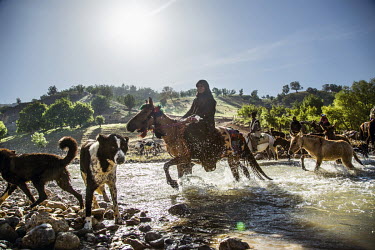 Masume rides a horse through a river near Koohrang, Chelgerd during the annual migration of the Bakhtiari and their livestock.