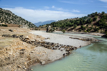 Sheep, goats and donkeys are given a break to drink from a river during the annual Bakhtiari migration,