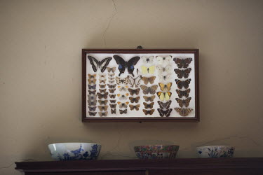 A butterfly collection on a wall in Hill Top farm, in Near Sawrey, the house where children's author Beatrix Potter wrote many of her books.