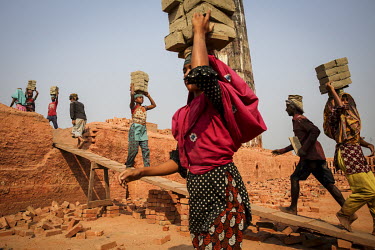 Labourers carrying loads of bricks at a brick making factory where they'll be paid around 60 Taka (GBP 0.56) for every thousand bricks moved.