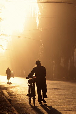 A Uygur man pushes his bicycle along a tree-lined street in the early morning sunlight.