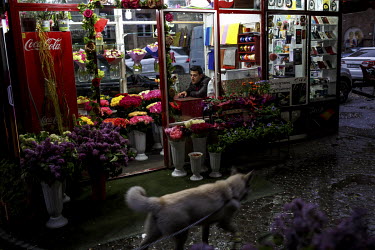 A flower shop illuminated at night.