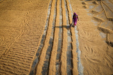 A woman sweep grains of drying rice into mounds at a rice mill.