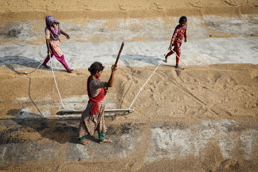 Women sweep grains of drying rice into mounds at a rice mill.