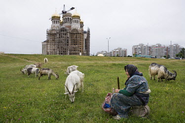 An old woman grazes her goats near a new Orthodox church under construction.
