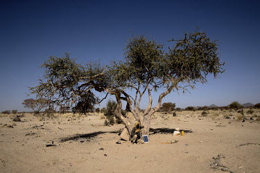 A man uses a small solar panel to charge a mobile phone in a remote area of scrub desert.