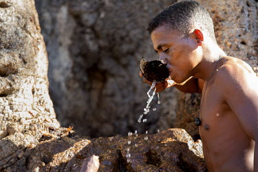 A boy drinks water from a baobab (Adansonia Za) that has been hollowed out and used as a cistern for storing water during droughts. Each baobab can hold about 9000 litres of water and are owned by the...